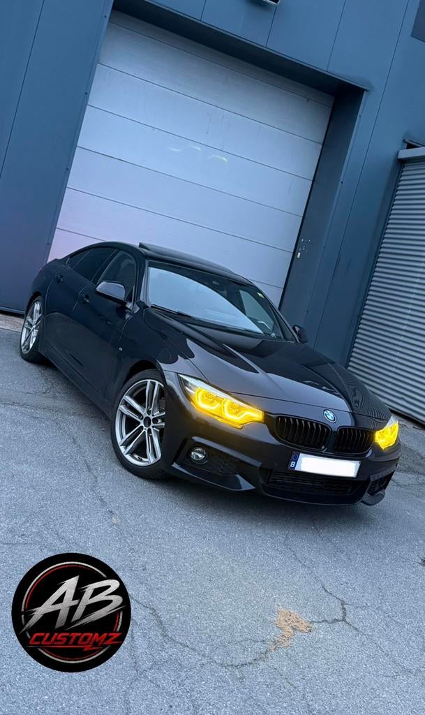 Bmw's coderen E/F/G series, Ophalen