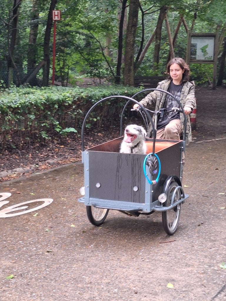 Bakfiets te koop - af te halen, Fietsen en Brommers, Ophalen, Gebruikt