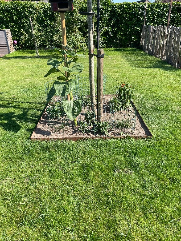 Unieke kans: Cortenstaal afboording, Tuin en Terras, Bielzen en Borduren, Ophalen, Overige materialen, 100 tot 200 cm, Zo goed als nieuw