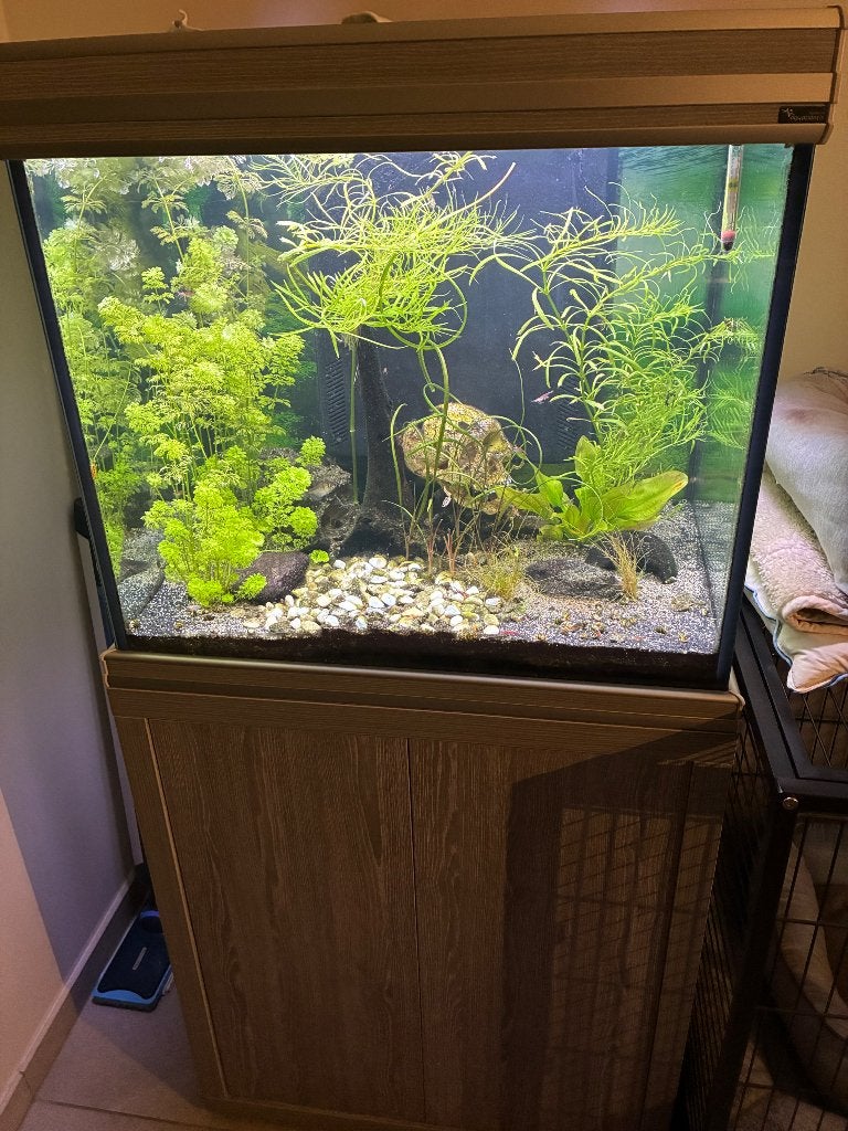 Aquatlantis aquarium + meubel en toebehoren, Ophalen, Gebruikt, Aquatlantis, Gevuld zoetwateraquarium