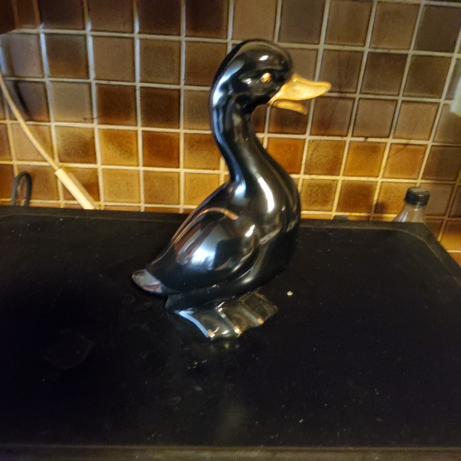 eend met goudkleur, Ophalen