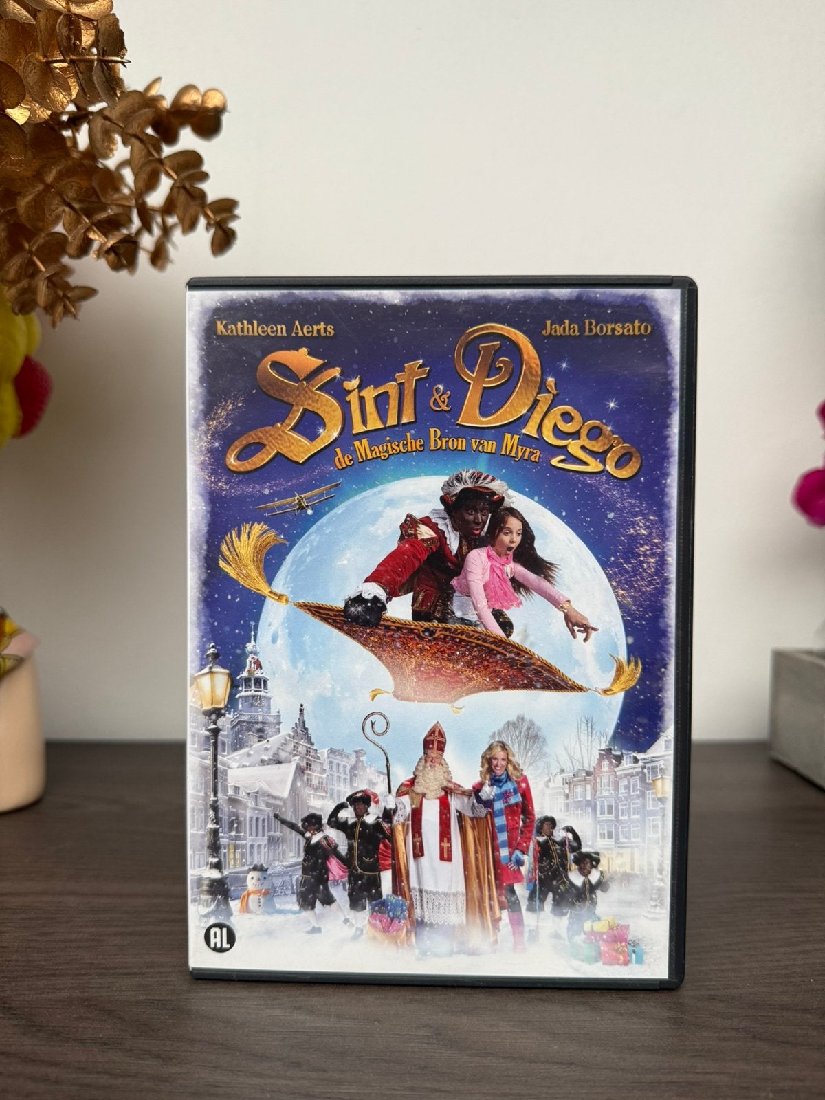 Sint en Diego De magische bron van Myra (met Kathleen Aerts), CD & DVD, DVD | Enfants & Jeunesse, Enlèvement ou Envoi, Comme neuf