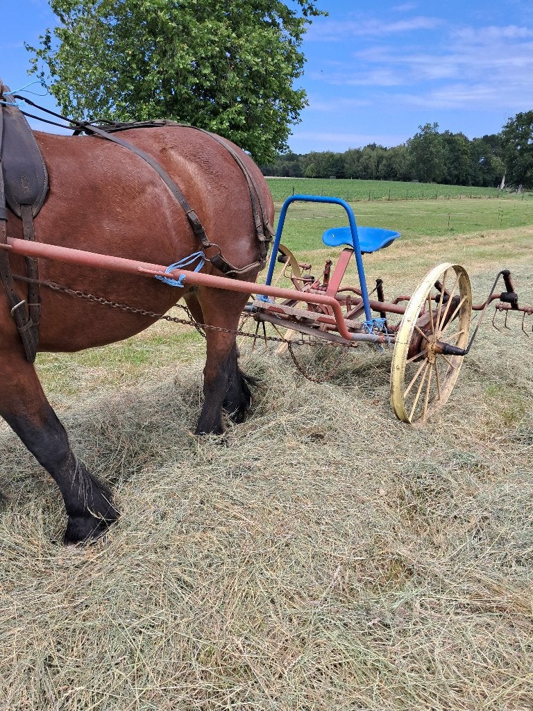 Hooimachine, Articles professionnels, Agriculture | Outils, Enlèvement