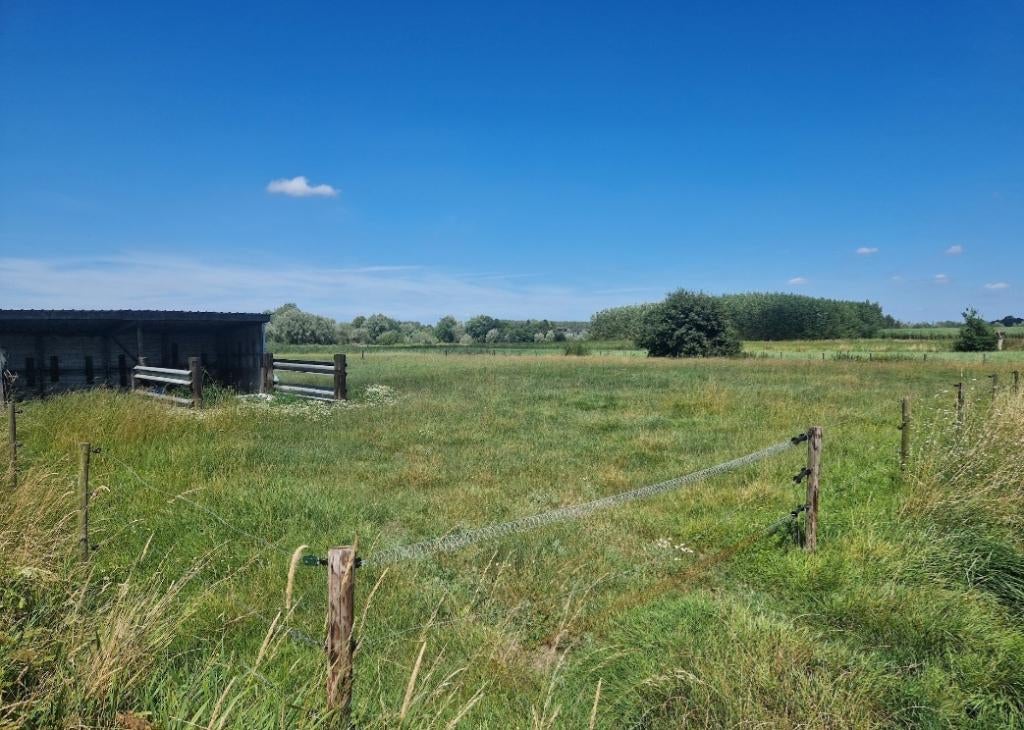 Weiland, Immo, Verkoop zonder makelaar, 1500 m² of meer