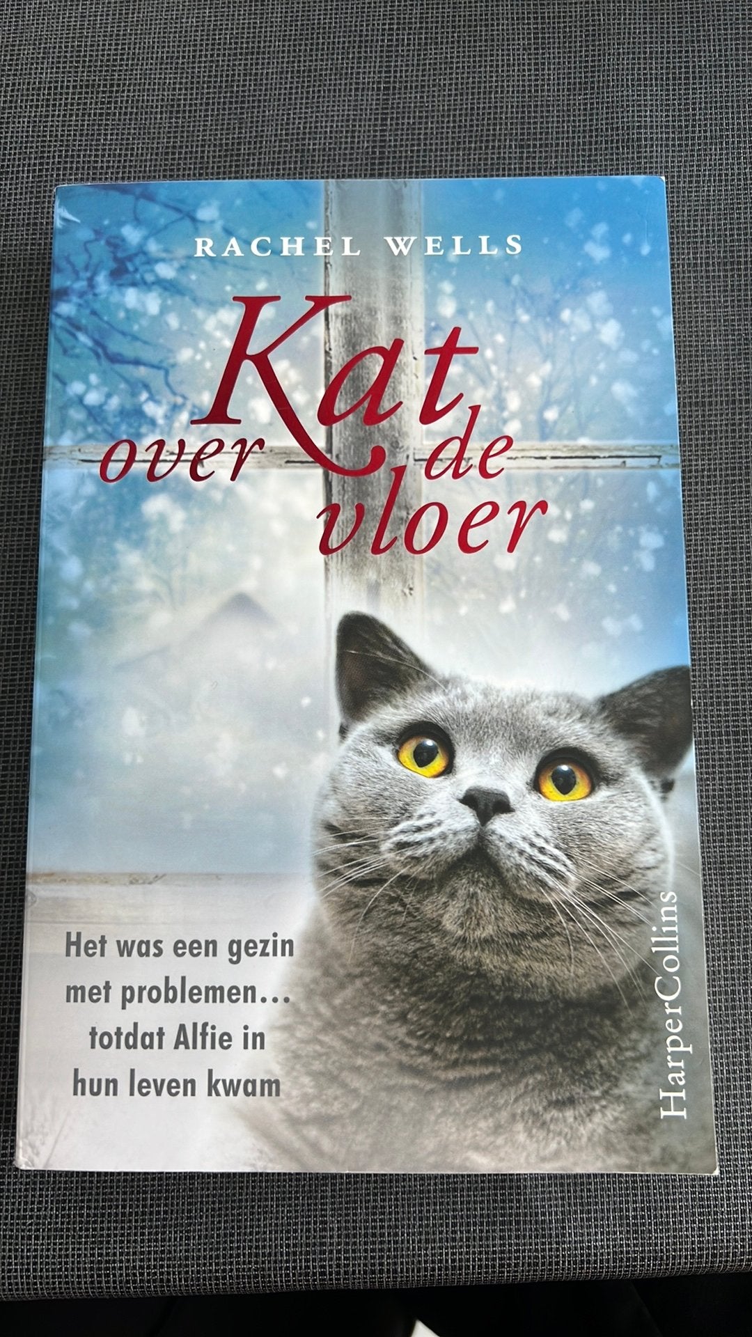Rachel Wells - Kat over de vloer, Ophalen of Verzenden, Rachel Wells
