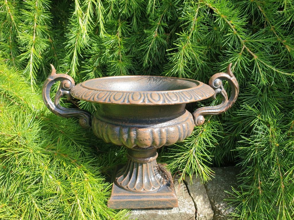 oorvaas landelijk, Ophalen of Verzenden, Nieuw, Tuin