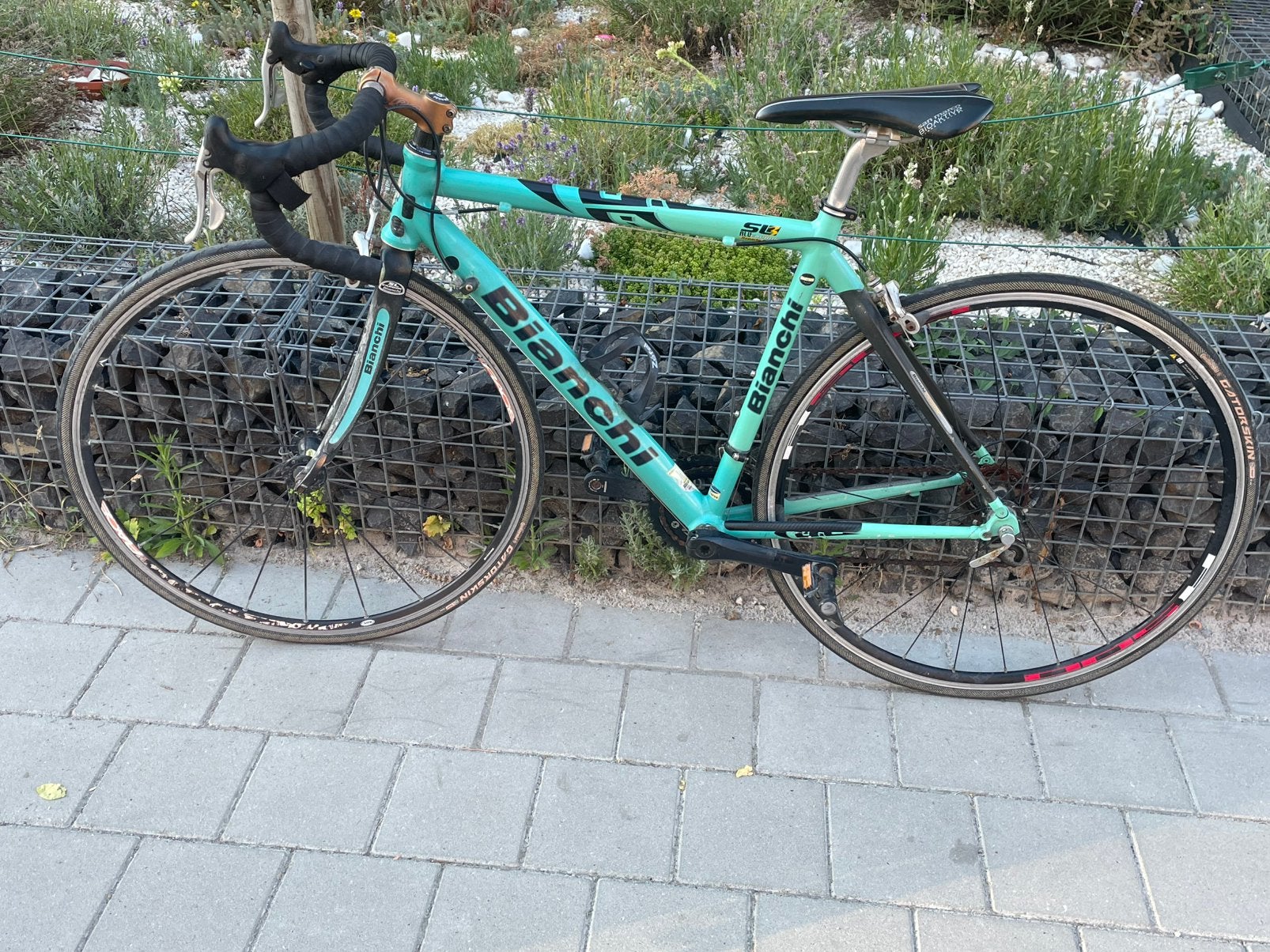 Vélo Bianchi, Enlèvement, Utilisé, Autres marques