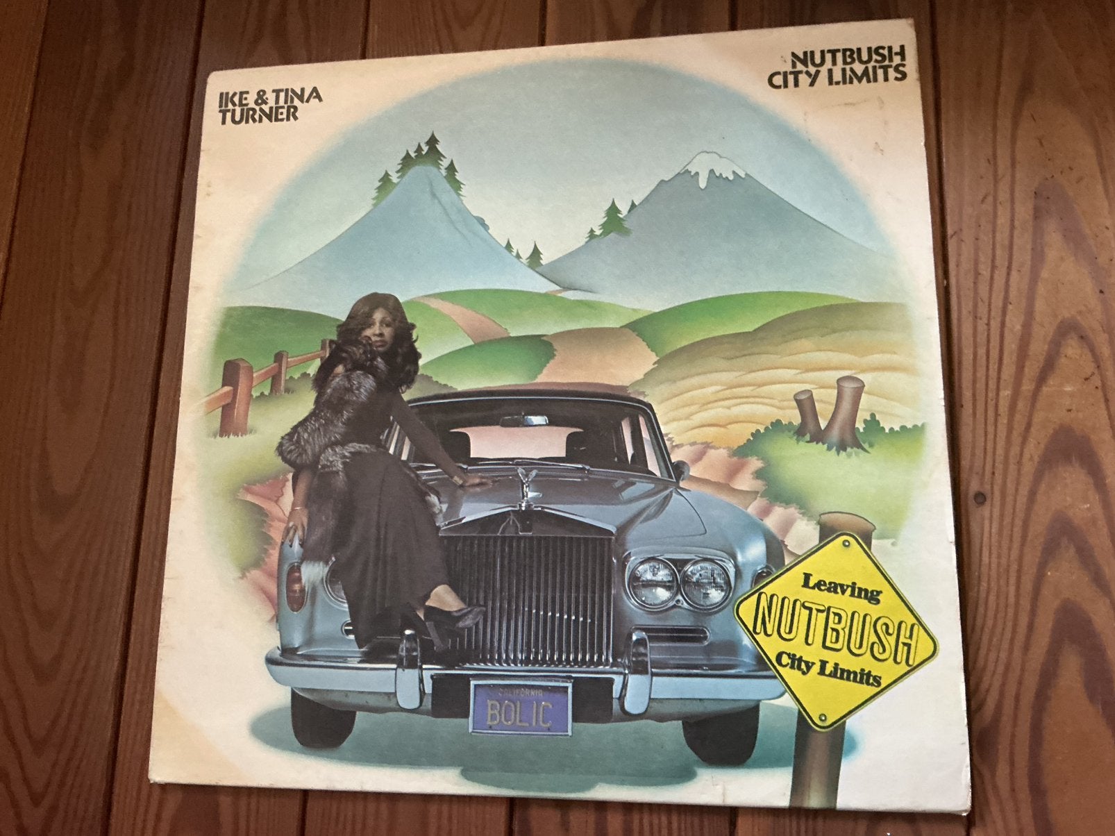 LP Ike & Tia Turner - Les limites de Nutbush City, Enlèvement ou Envoi, Utilisé, LP
