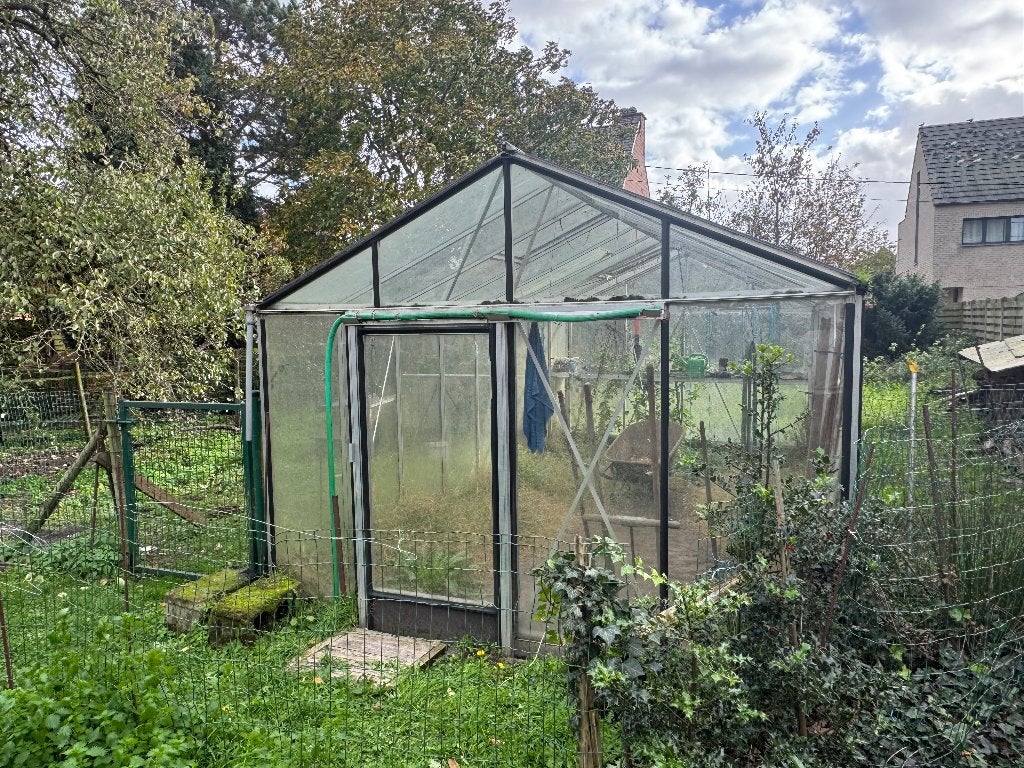 Serre, 3m op 6m, Ophalen, Gebruikt, Kweekkas, Glas
