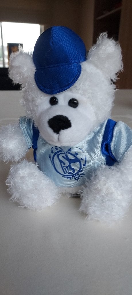 mascotte van voetbalploeg Schalke 04, Verzamelen, Verzenden, Zo goed als nieuw, Beeldje of Poppetje