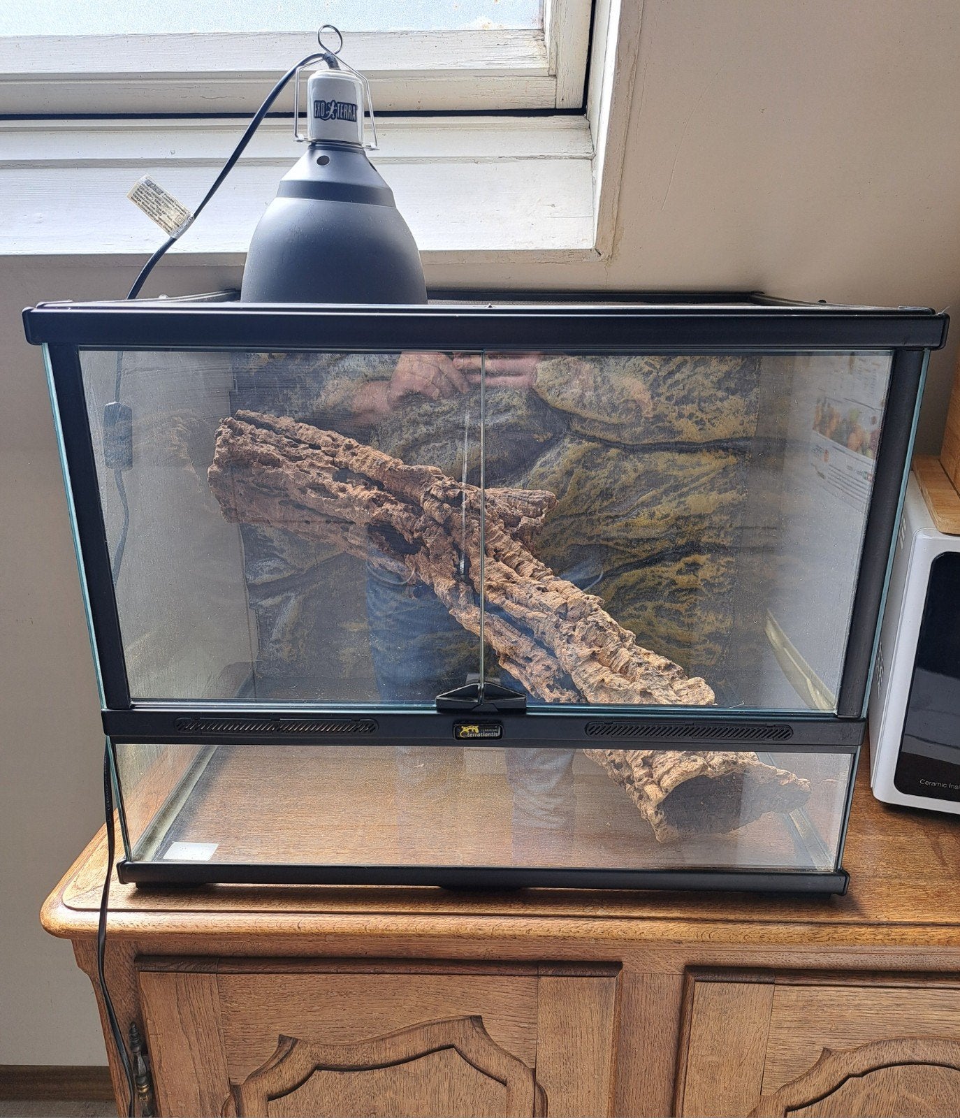 Terrarium Terratlantis 60x45x45, Animaux & Accessoires, Enlèvement