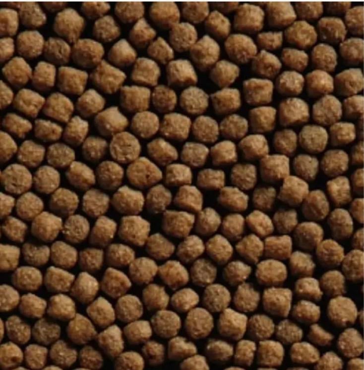 Premium Grower koivoer. Goed voer, lage prijs!, Dieren en Toebehoren