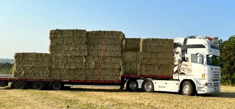 Hooi in bigballer per VOLLE VRACHT GELEVERD, Dieren en Toebehoren, Dierenvoeding, Vee, Verzenden