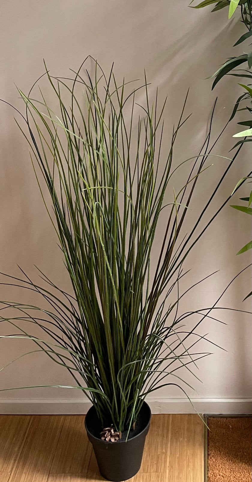 Plante artificielle Ikea., Enlèvement, Comme neuf, IKEA