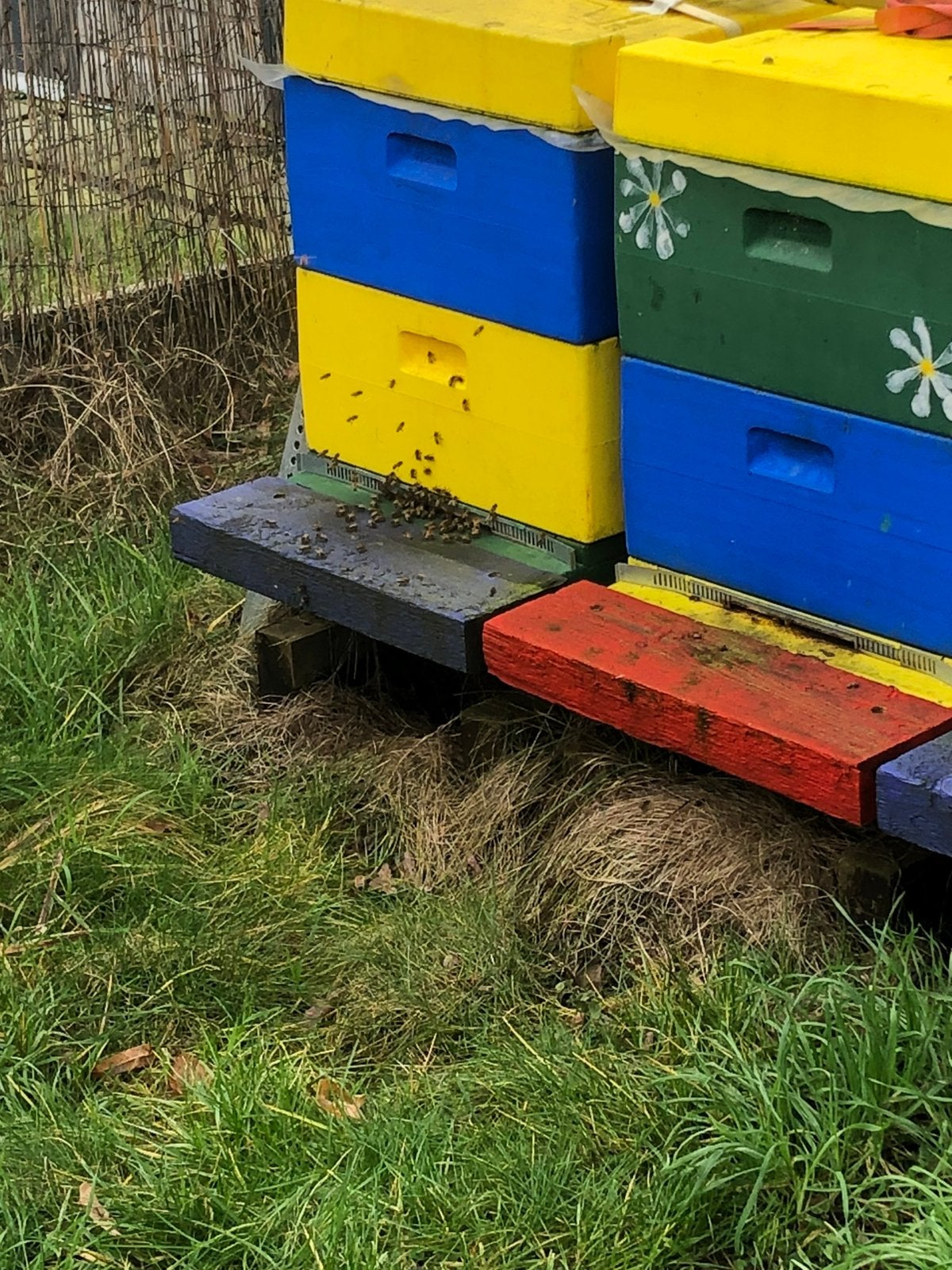 Bijenkasten Duits Normaal, Ophalen