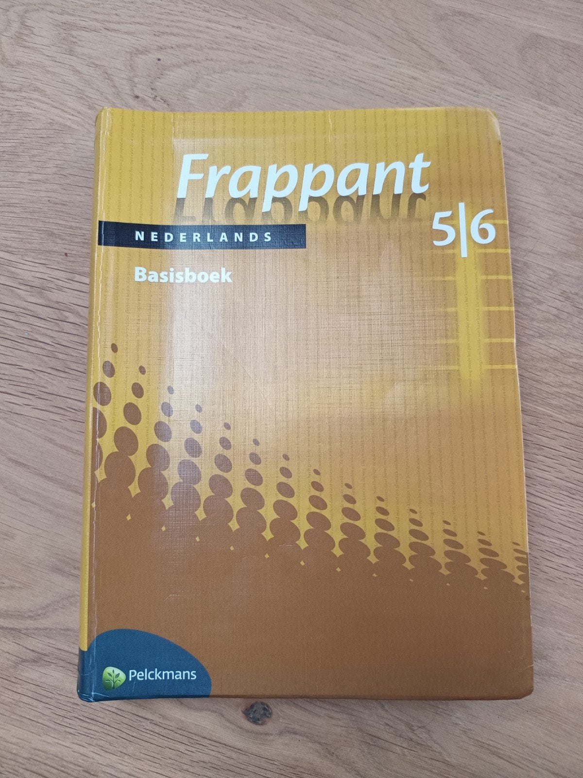 Bronnenboek frappant 5/6, Boeken, Ophalen of Verzenden, Gelezen, ASO, Nederlands