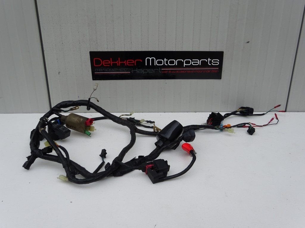 Kabelboom / Draadboom Honda CBR600F 1999-2000 PC35 F4, Gebruikt, -, -, Ophalen of Verzenden