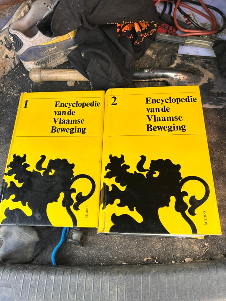 Vlaams boek, Boeken, Ophalen of Verzenden, Gelezen, Politiek