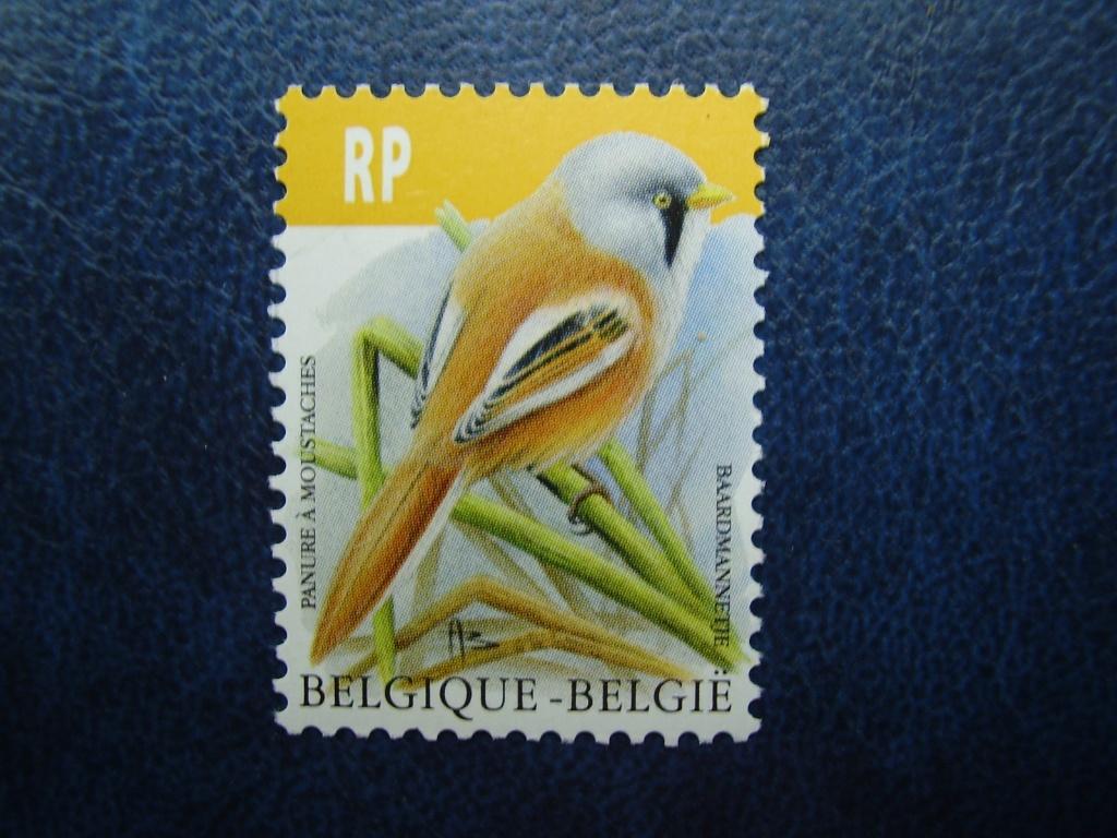 Buzin - RP postfris - Baardmannetje - PF11, Ophalen of Verzenden, Postfris, Postfris