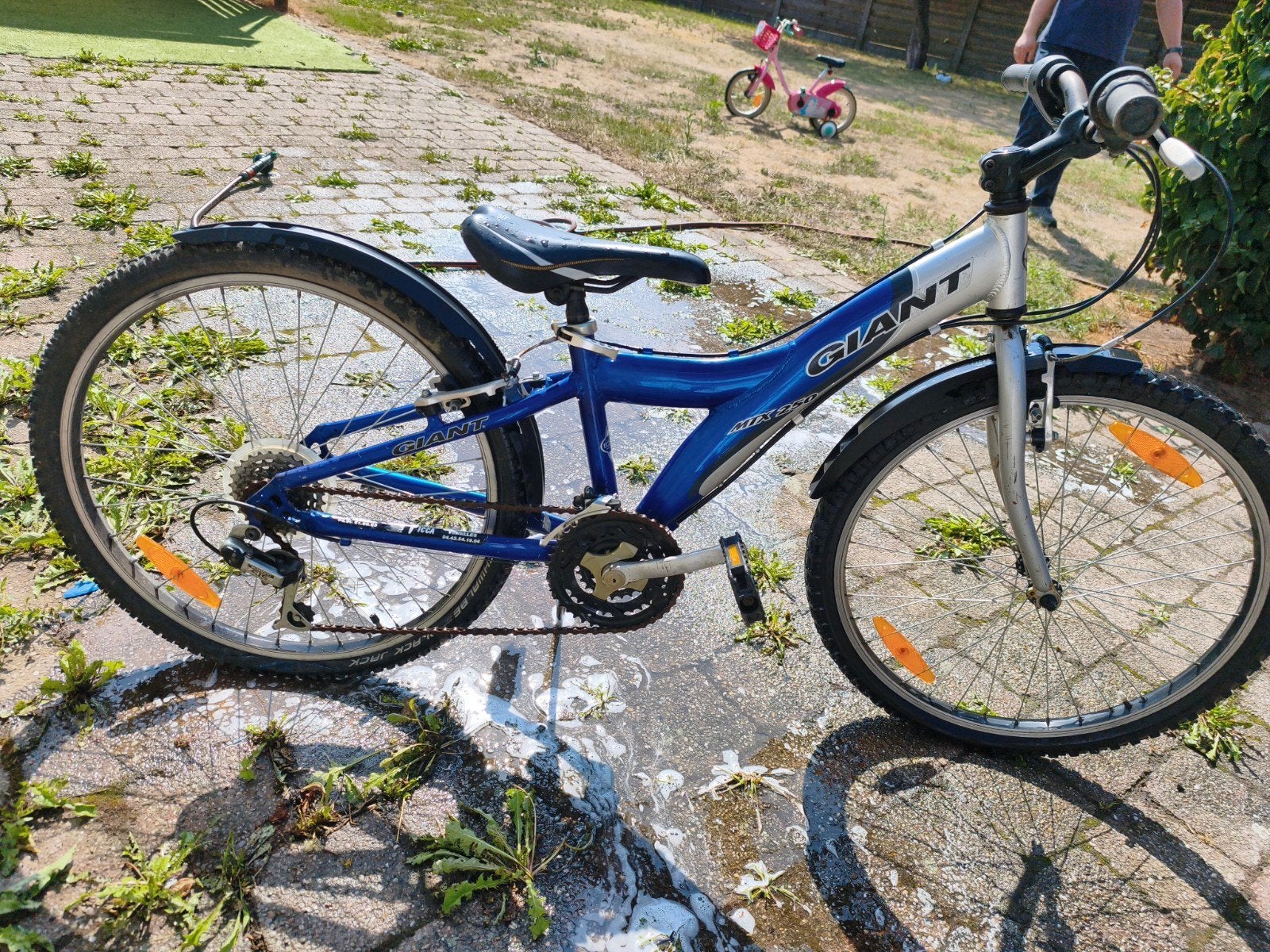 Giant MTX 250 kinder-/jeugd-mountainbike 24 inch, Ophalen, Gebruikt, 24 inch, Versnellingen