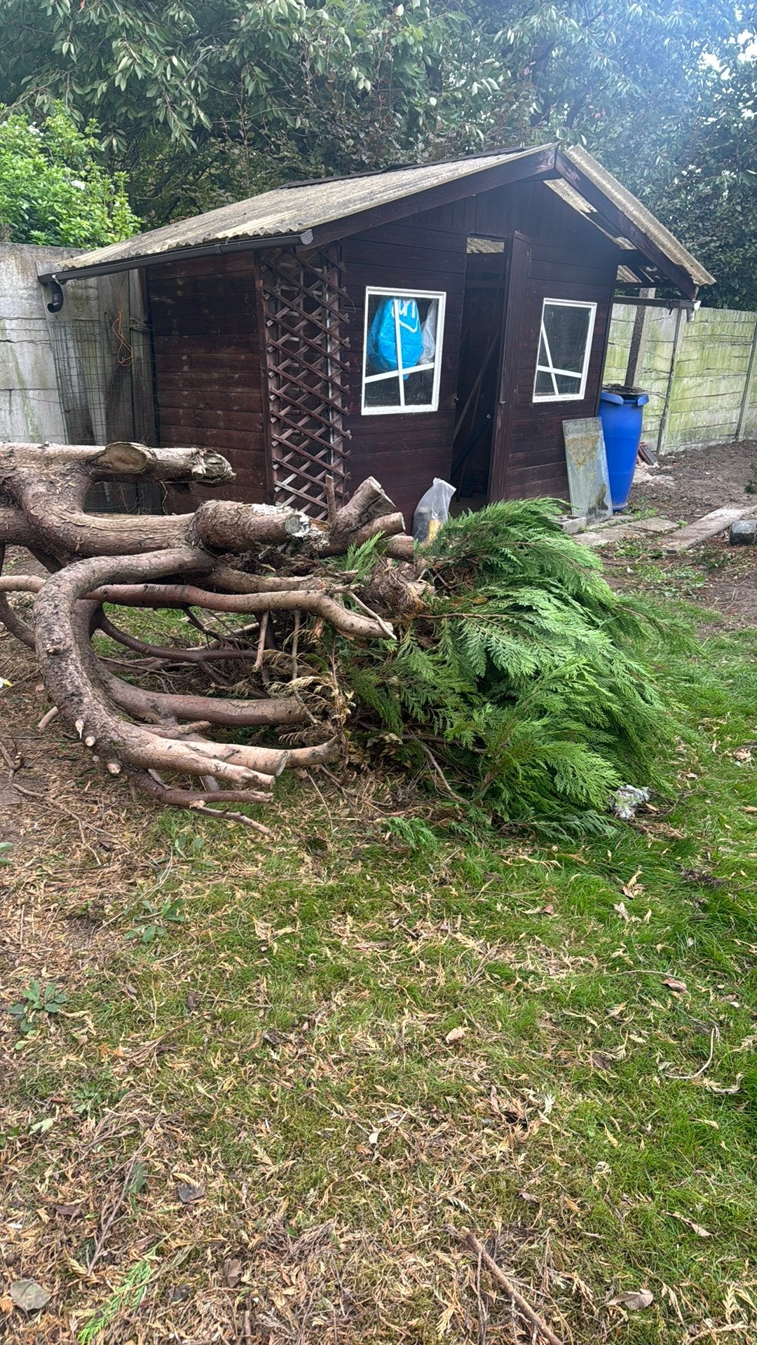 Takken, Jardin & Terrasse, Enlèvement, Branches
