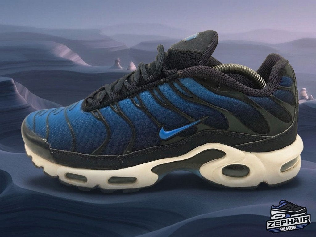 Nike Air Max Plus TN 'Obsidian' EU41 2017, Vêtements | Hommes, Chaussures, Porté, Baskets, Bleu, Enlèvement ou Envoi