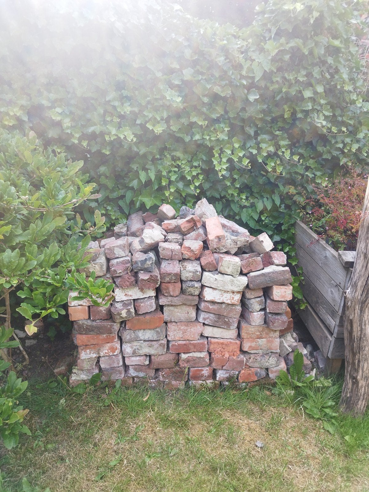 Gratis oude bakstenen, Doe-het-zelf en Bouw, Ophalen, Bakstenen