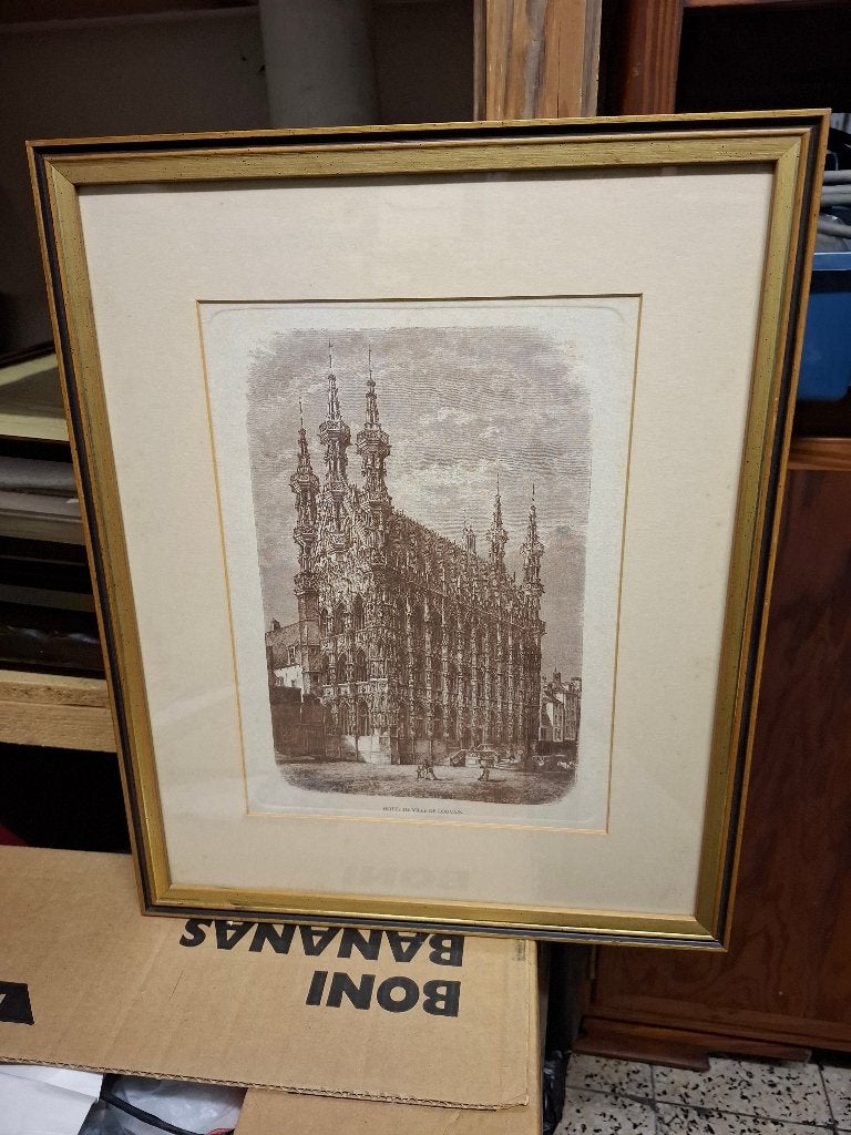 afbeelding hotel de ville de Louvain stadhuis leuven, Ophalen, Zo goed als nieuw