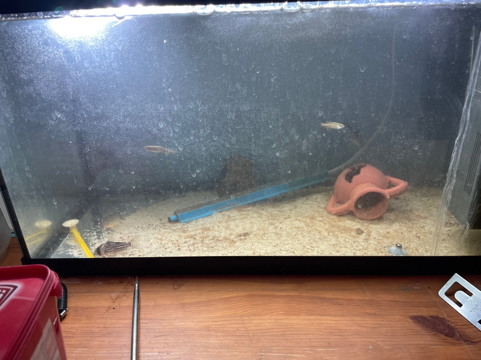 Aquarium, Animaux & Accessoires, Enlèvement ou Envoi, Pompe, Comme neuf