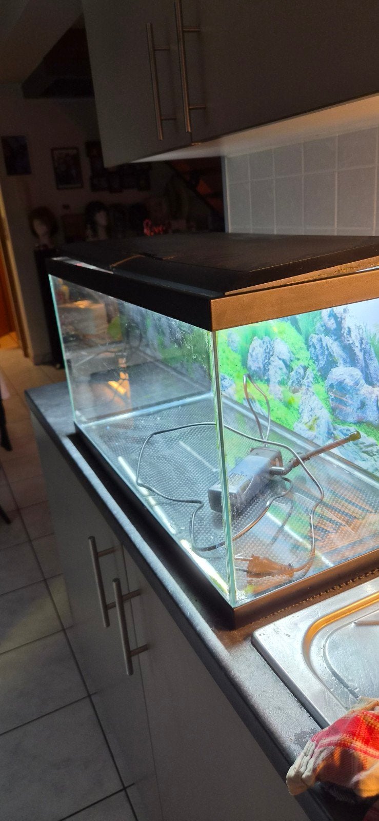 aquarium, Enlèvement