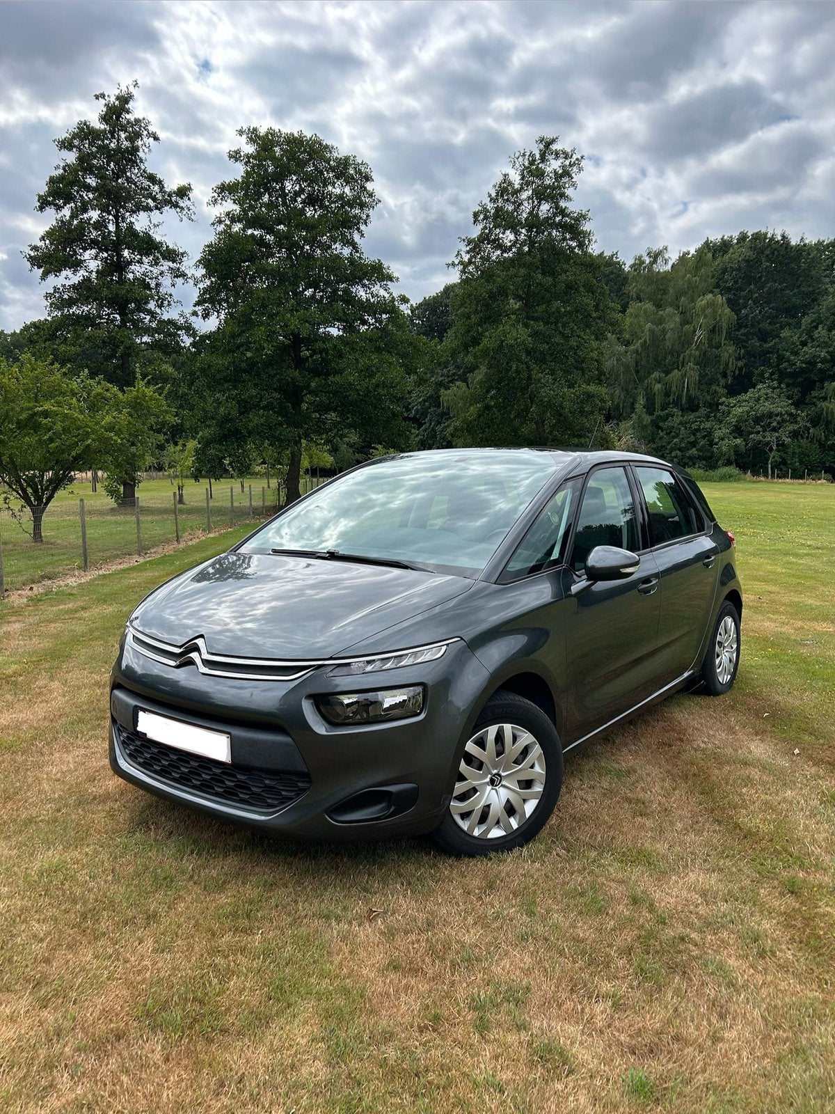 Citroën C4 Picasso (2016), Achat, 1280 kg, Euro 6, Boîte manuelle