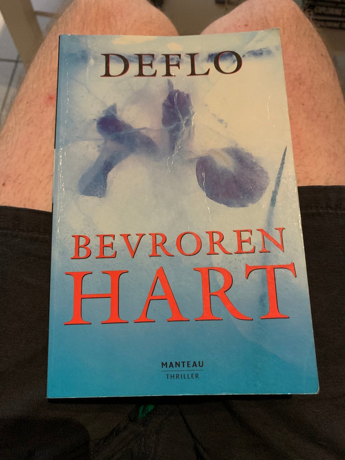 Luc Deflo - Bevroren hart, Boeken, Ophalen of Verzenden, Luc Deflo