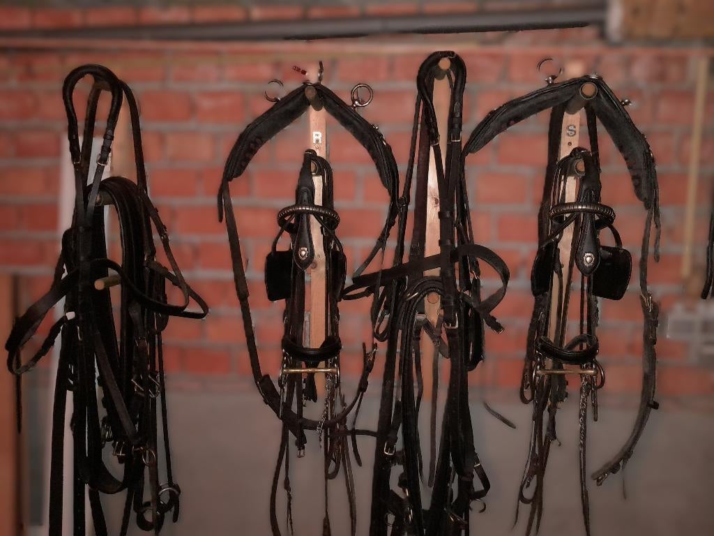 Te Koop:  Paarden tuig voor koetsen, Dieren en Toebehoren, Paarden en Pony's | Hoofdstellen en Tuigage, Ophalen, Gebruikt, Recreatie