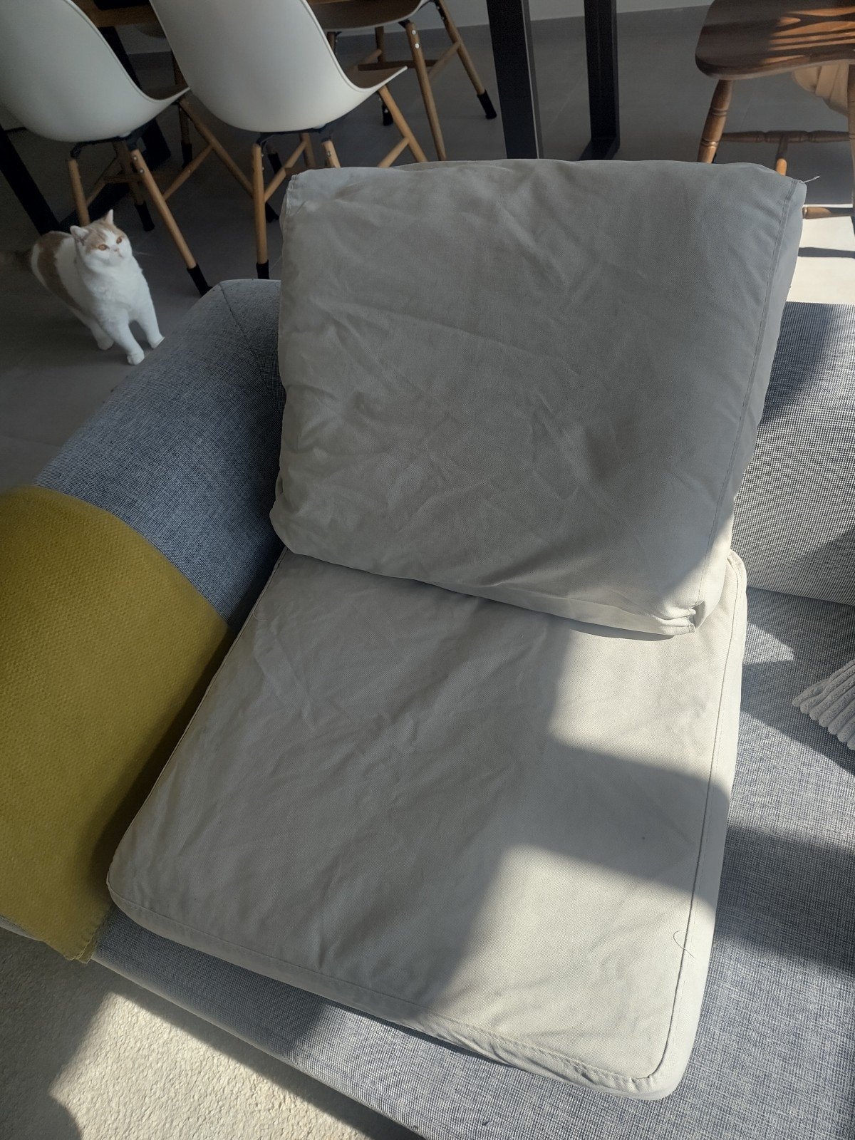 Gratis af te halen Tongeren, Tuin en Terras, Ophalen
