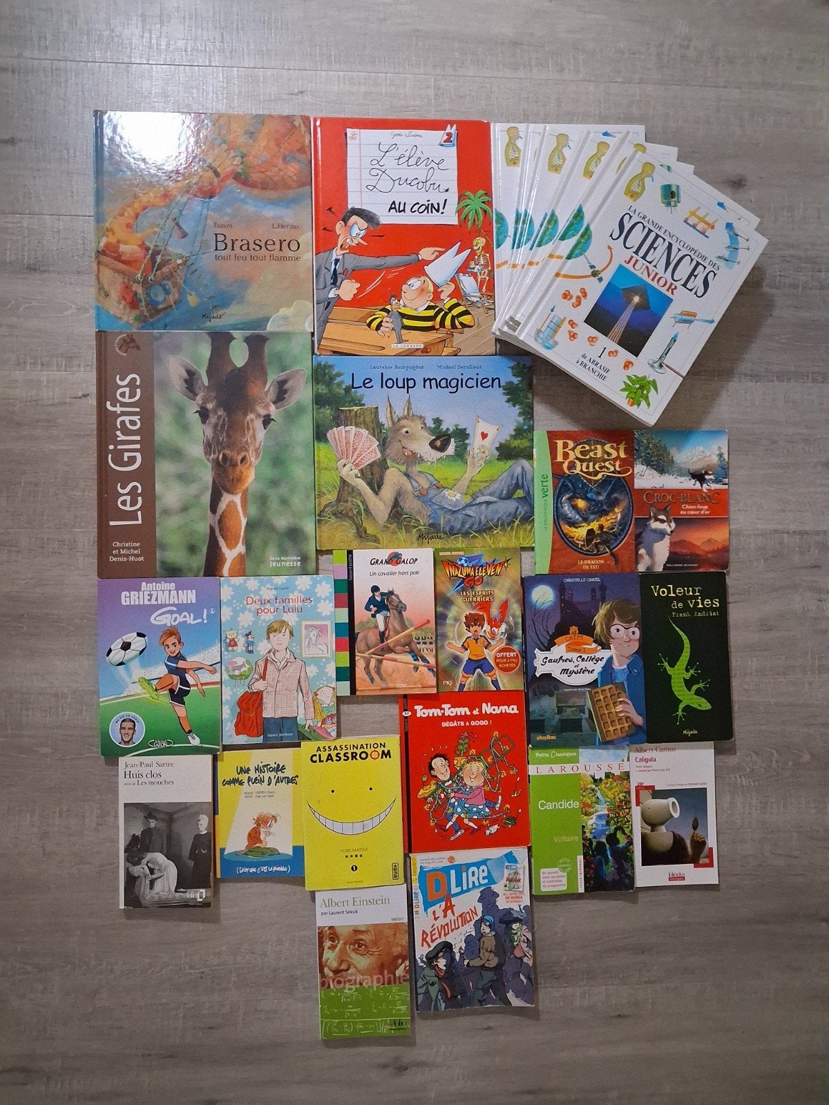 Lot de livres, Enlèvement, Comme neuf