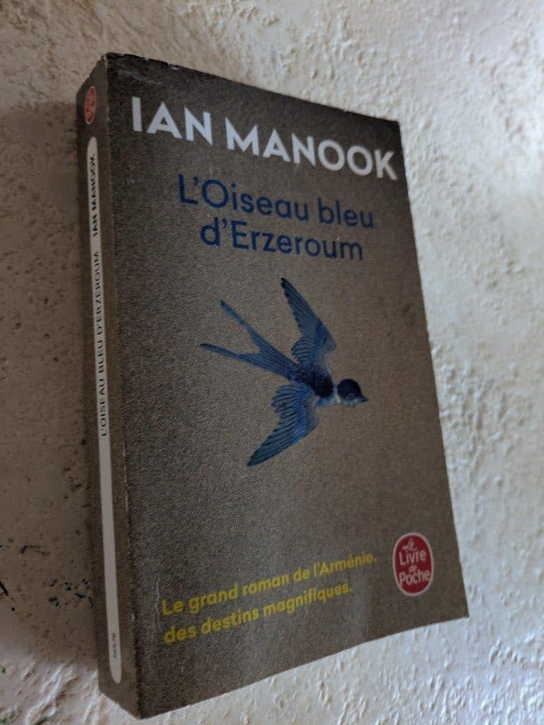 L'Oiseau bleu d'Erzeroum (Ian Manook)., Enlèvement ou Envoi, Utilisé, Europe autre, Ian Manook.