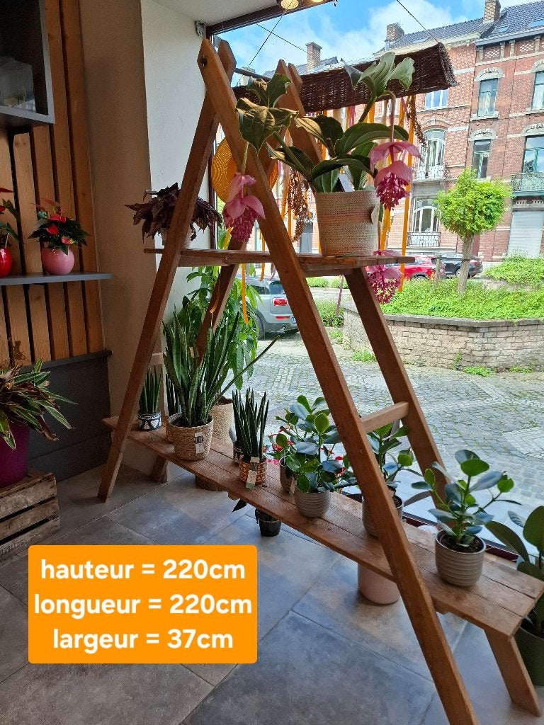 Etagère pyramide, Maison & Meubles, Enlèvement, Comme neuf