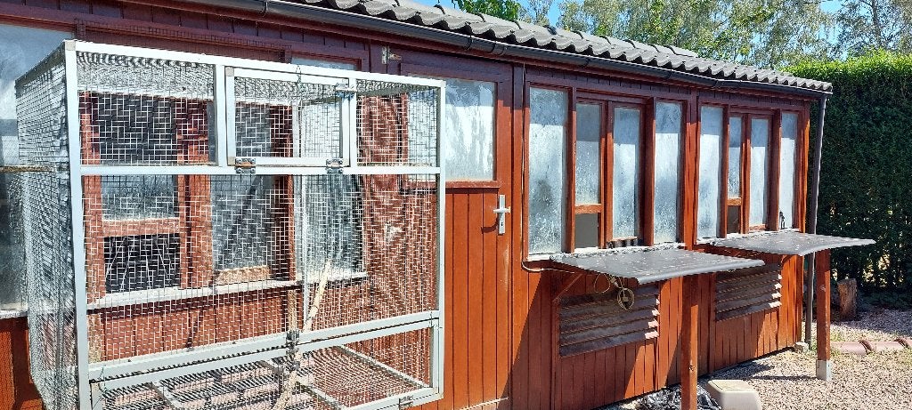 Duivenhok Dumo compleet 7m60 x 1m85 GERESERVEERD, Geslacht onbekend, Overige soorten