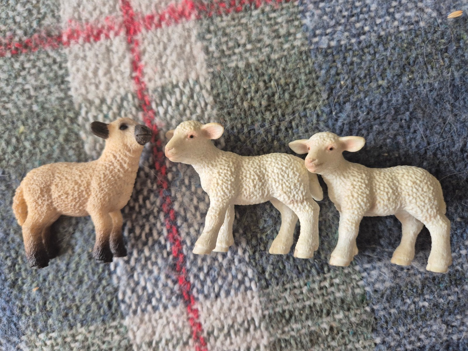 Schleich lammetjes, Verzenden