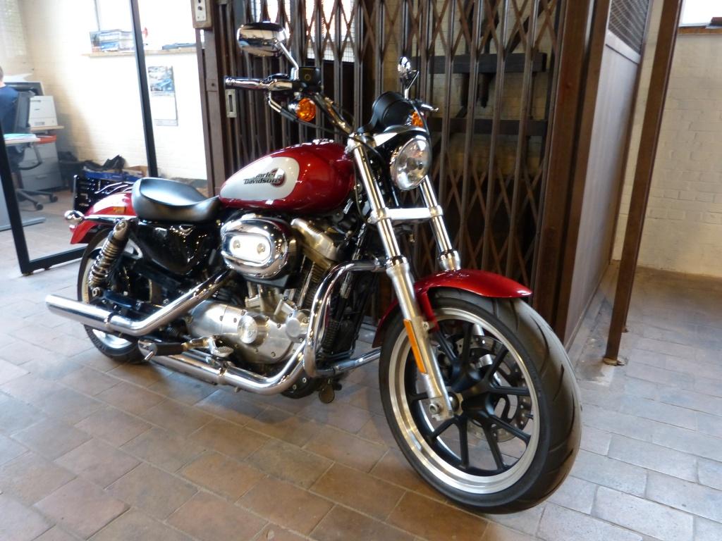 Harley-Davidson Sportster XL883L (bj 2019), Motoren, Motoren | Harley-Davidson, Bedrijf, 883 cc, Meer dan 35 kW, Overig
