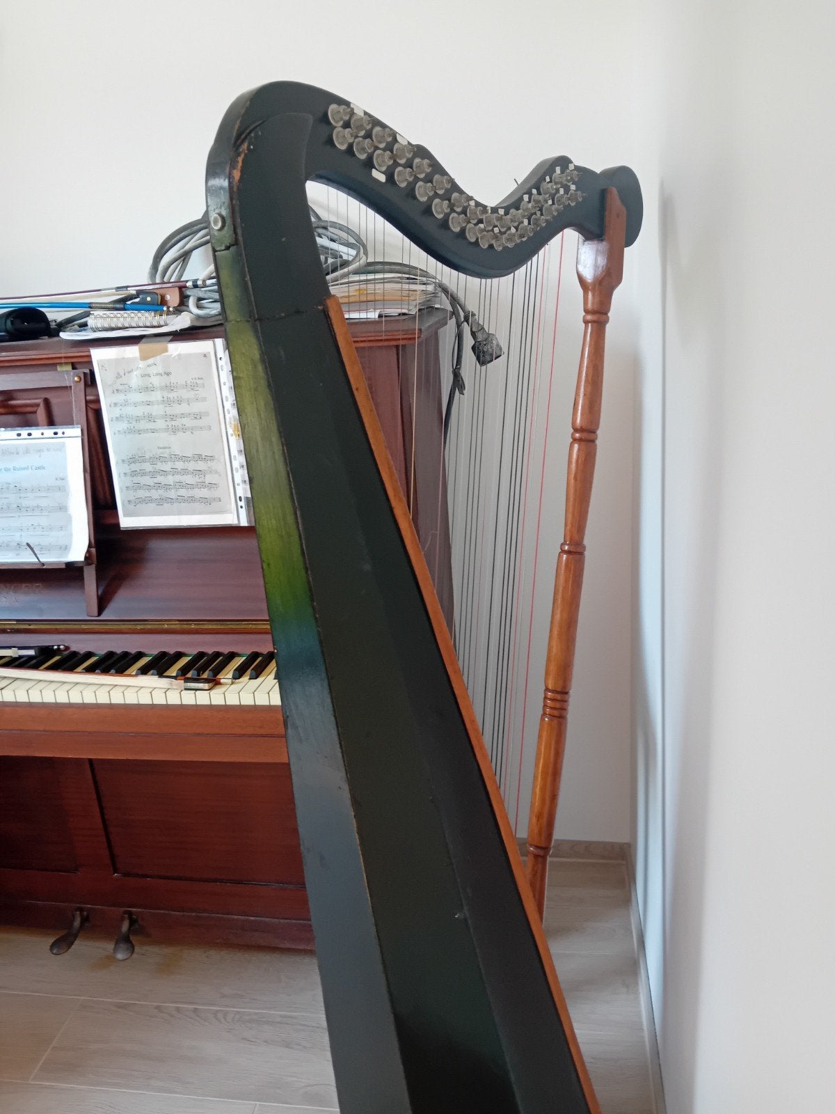 Mooie harp, Enlèvement