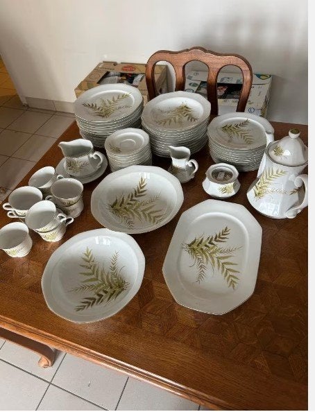 65-delig Vintage Servies Winterling Marktleuthen Bavaria, Enlèvement