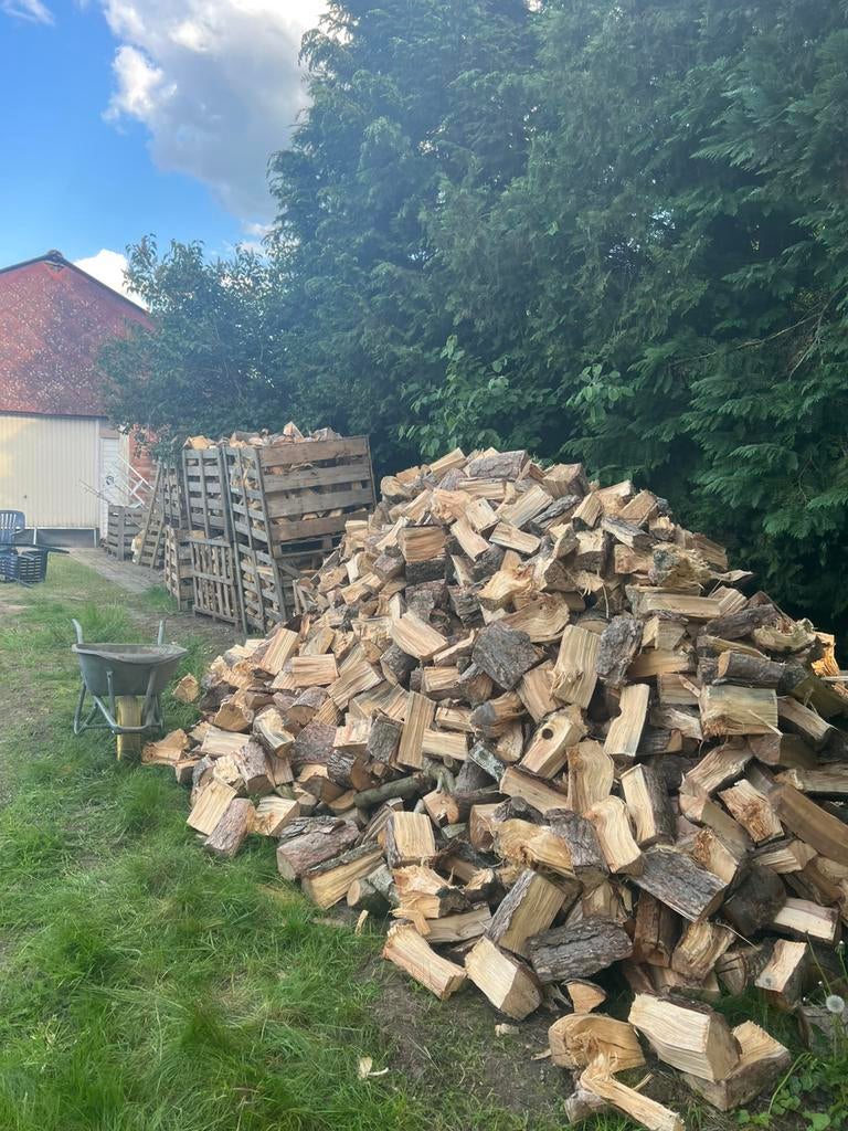 Droog brand hout den en berk vooral, 6 m³ of meer, Ophalen, Overige houtsoorten, Blokken