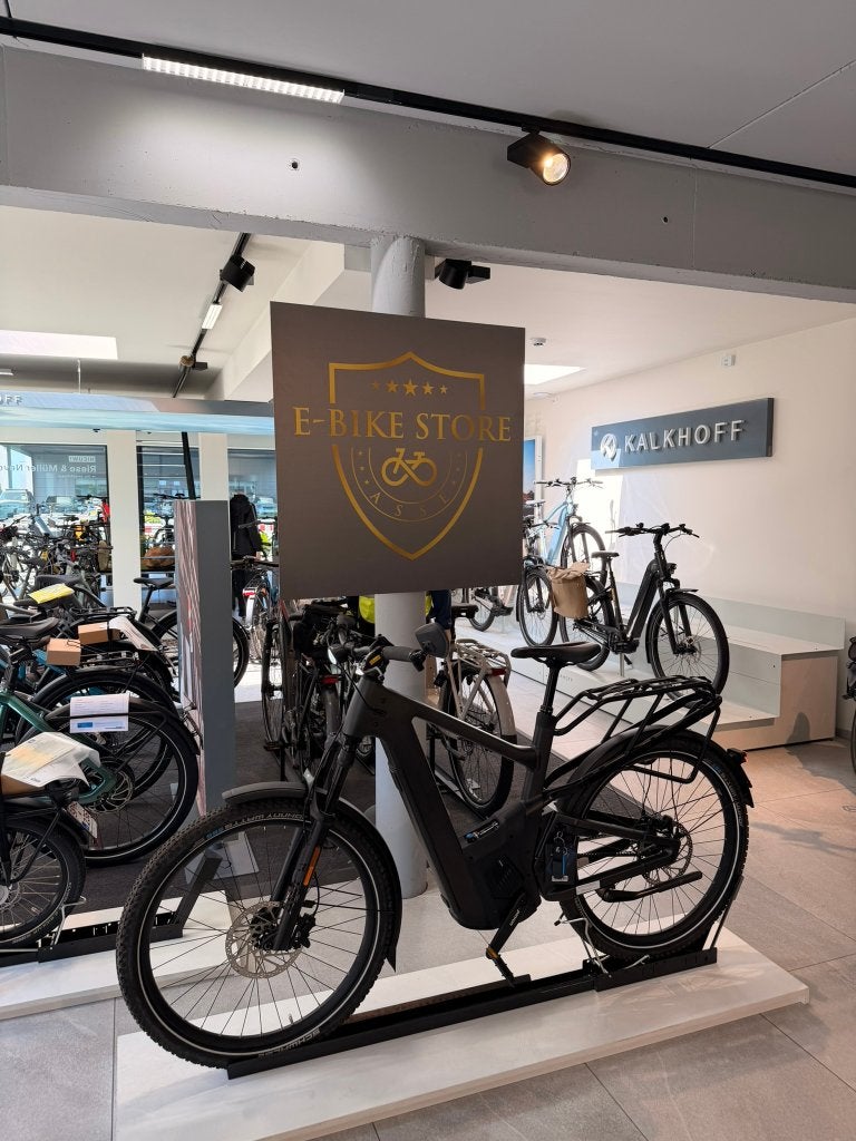 Riese & Müller Delite5 Pinion HS DEMOFIETS (SPEED PEDELEC)