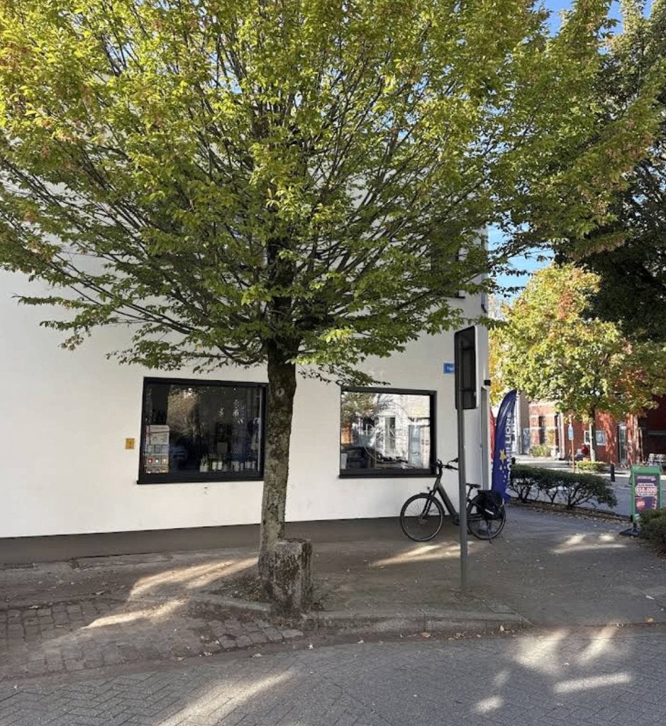 Overname Dagbladhandel de Kaai in Turnhout, Articles professionnels