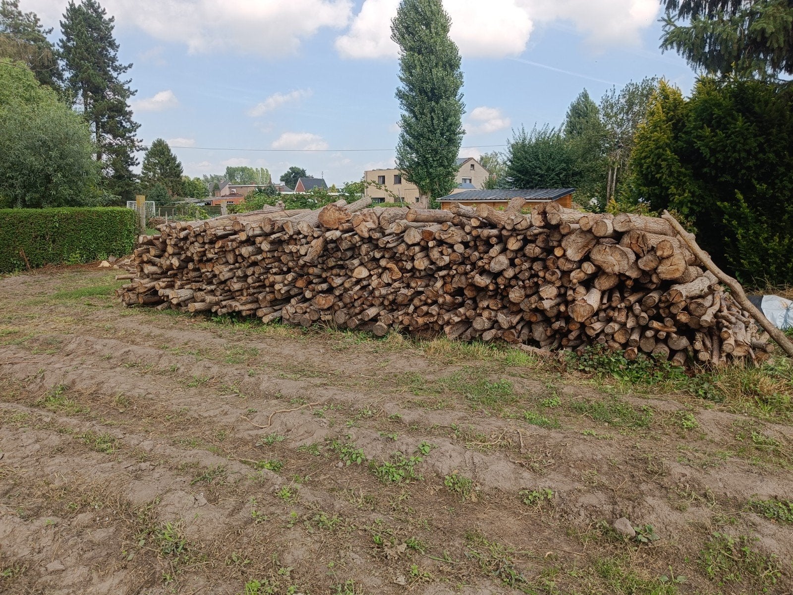 Brandhout Wilg, Tuin en Terras, Brandhout, 6 m³ of meer, Ophalen, Overige houtsoorten, Takken