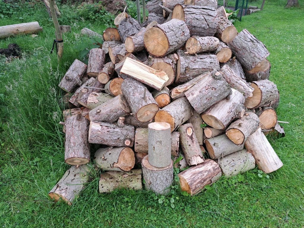 brandhout: blokken den, Jardin & Terrasse, Bois de chauffage, 3 à 6 m³, Enlèvement, Autres essences de bois, Bûches