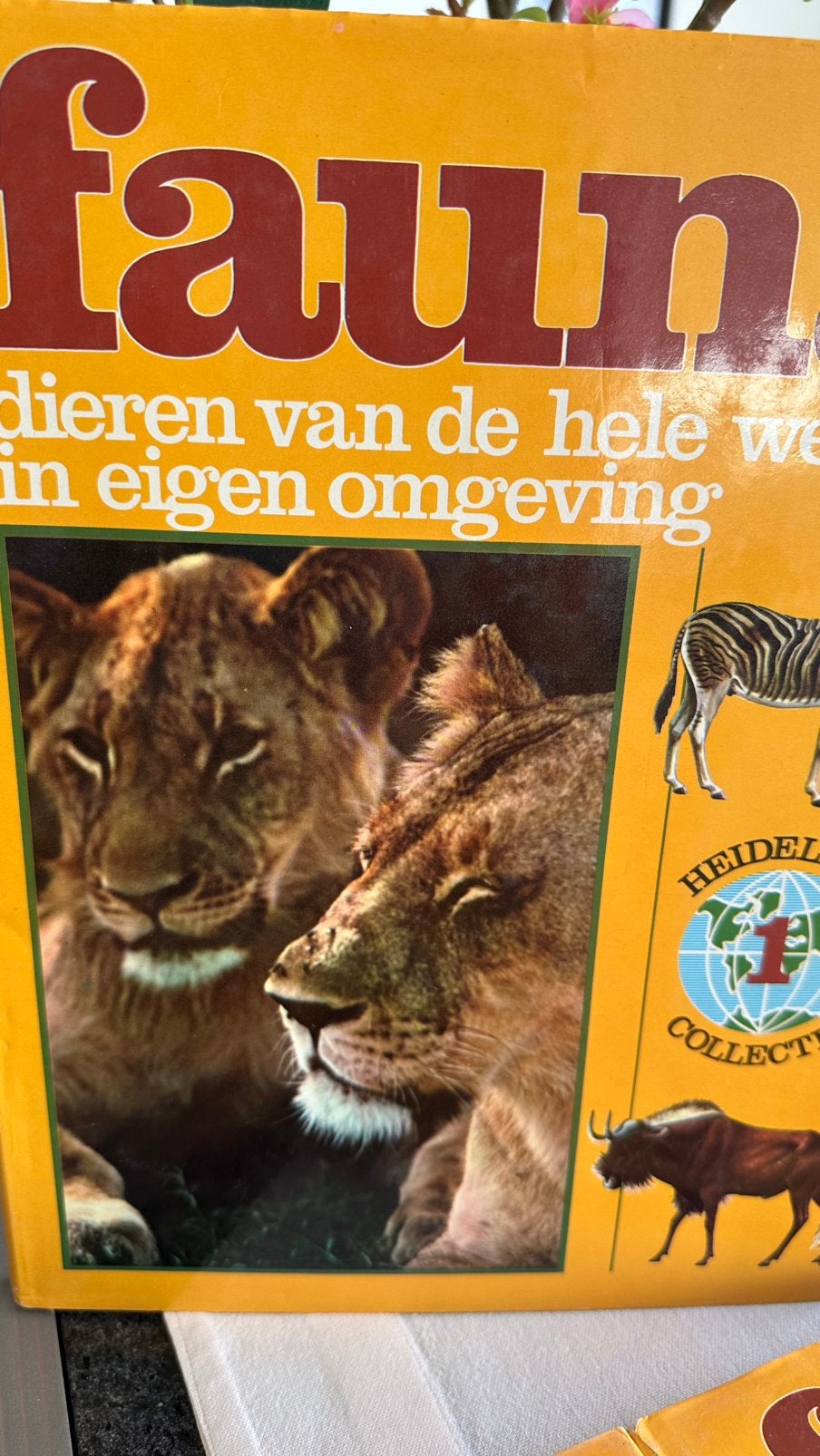 Fauna: Dieren van de hele wereld in eigen omgeving, Boeken, Ophalen, Zo goed als nieuw, Dieren