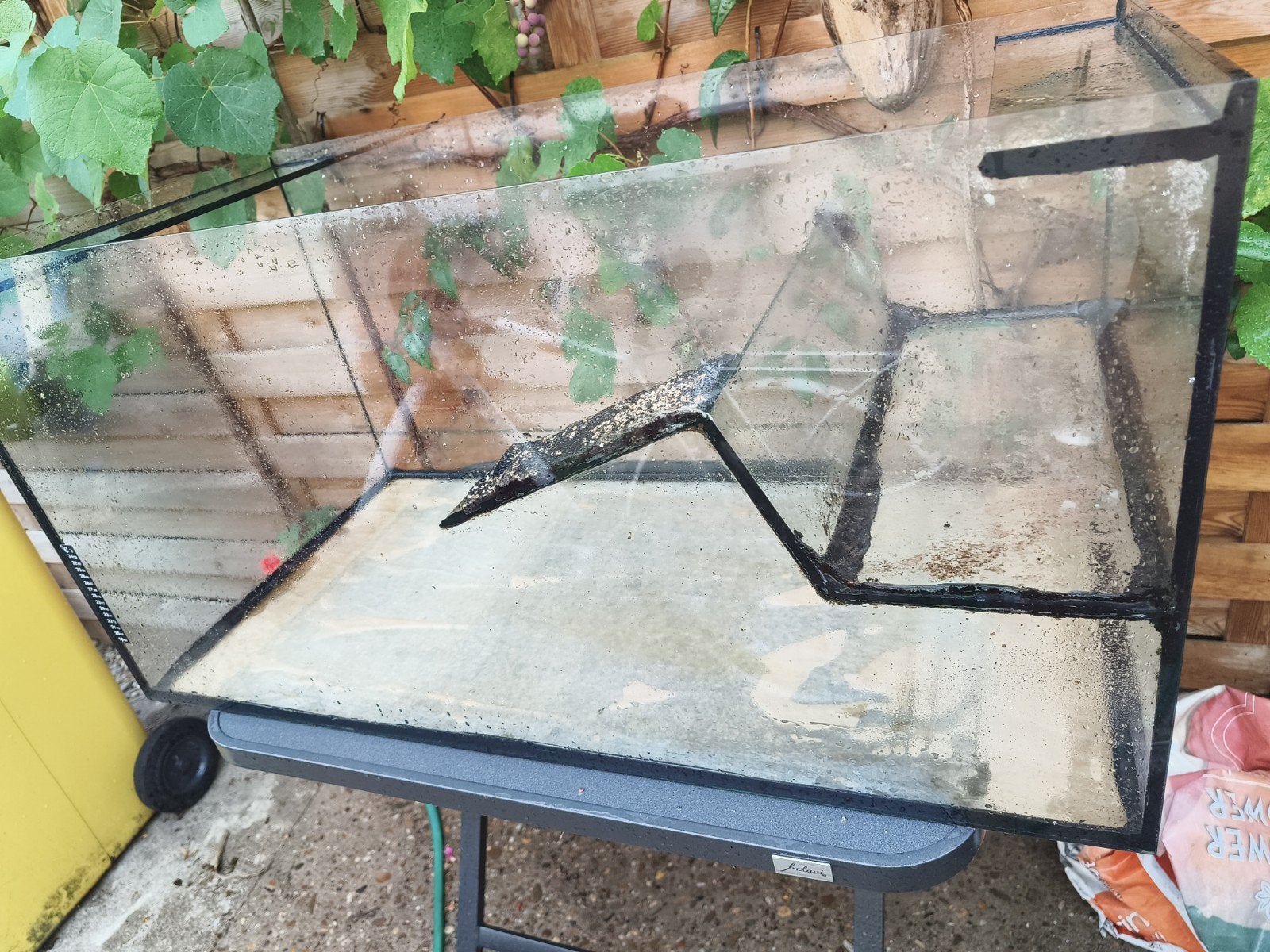 Aquarium schildpad met eiland, Animaux & Accessoires, Enlèvement
