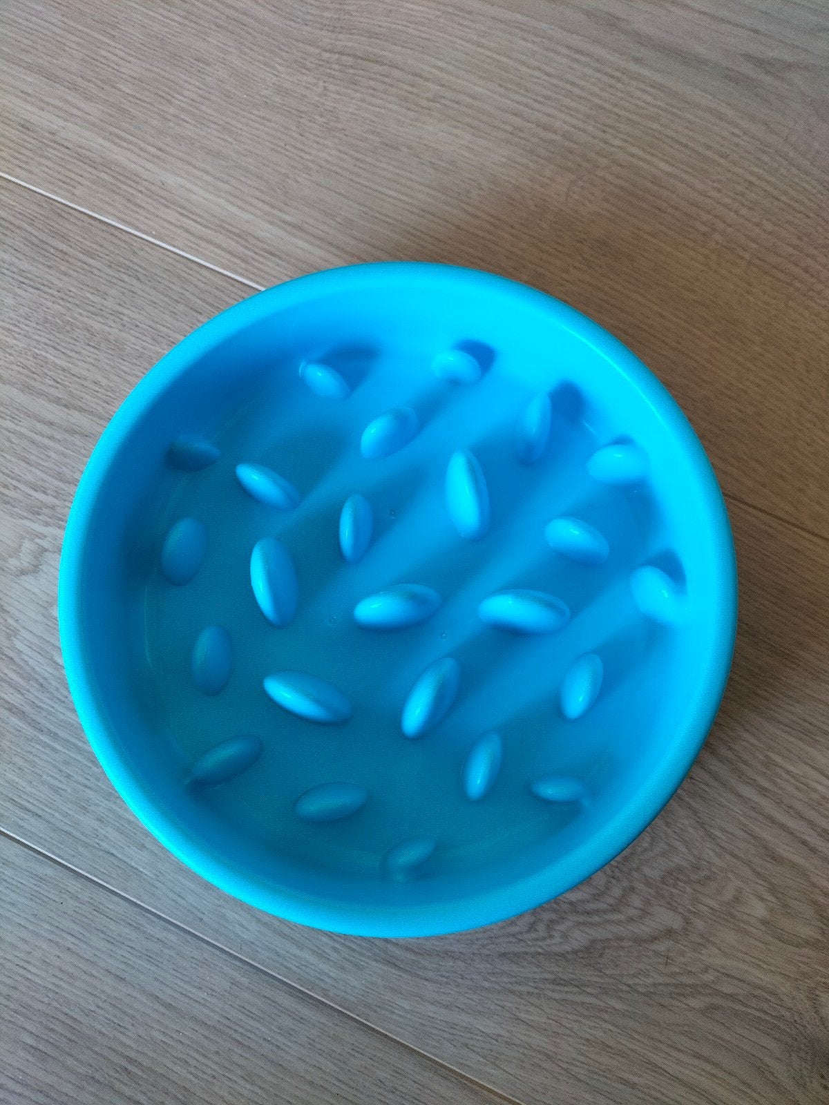 Slow feeder, Enlèvement, Anti-sursaut, Neuf